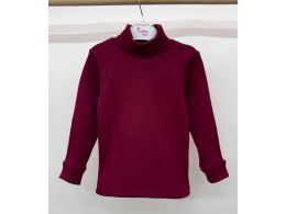 Водолазка дитяча для хлопчика і дівчинки (ВД-01 рубчик начіс одн.нов 2.)