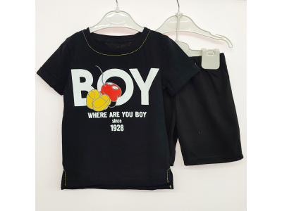 Комплект мальчиковый футболка и шорты (КМ-2201206  кулир одн.)
